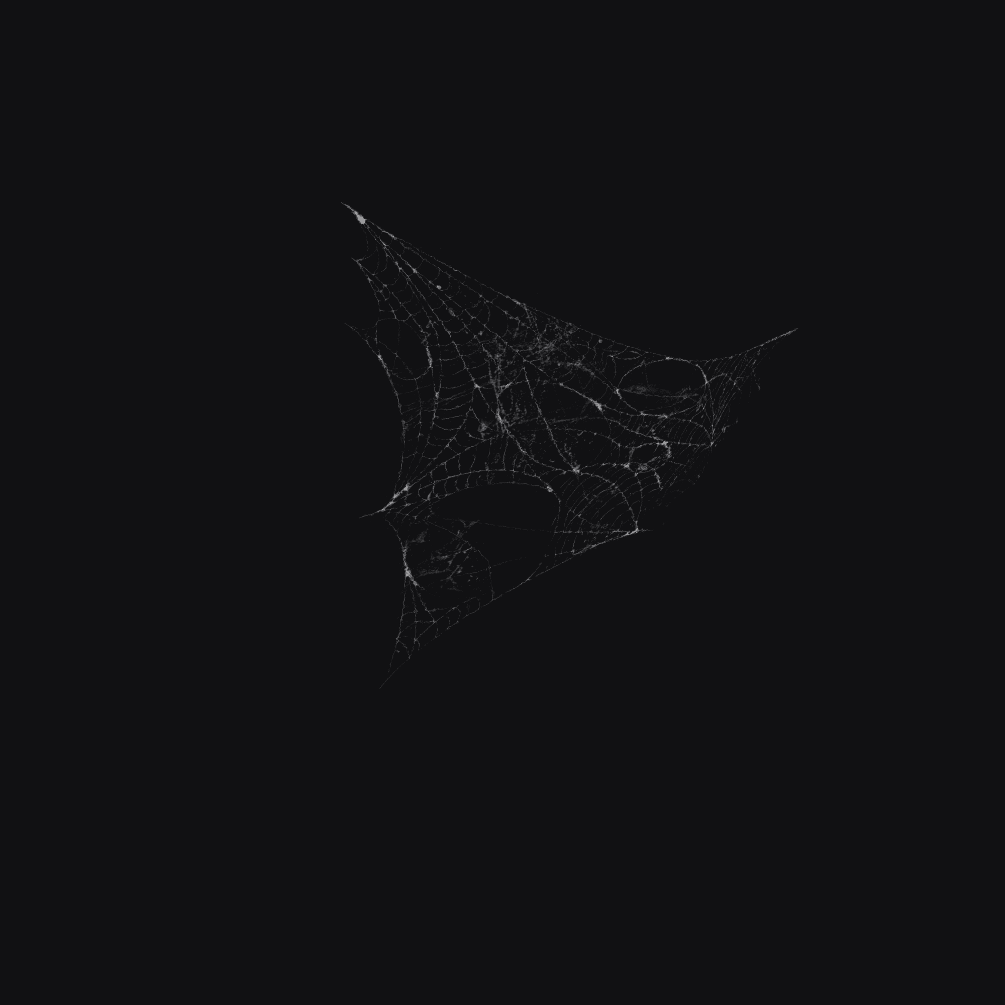 Cobwebs 4 3D model