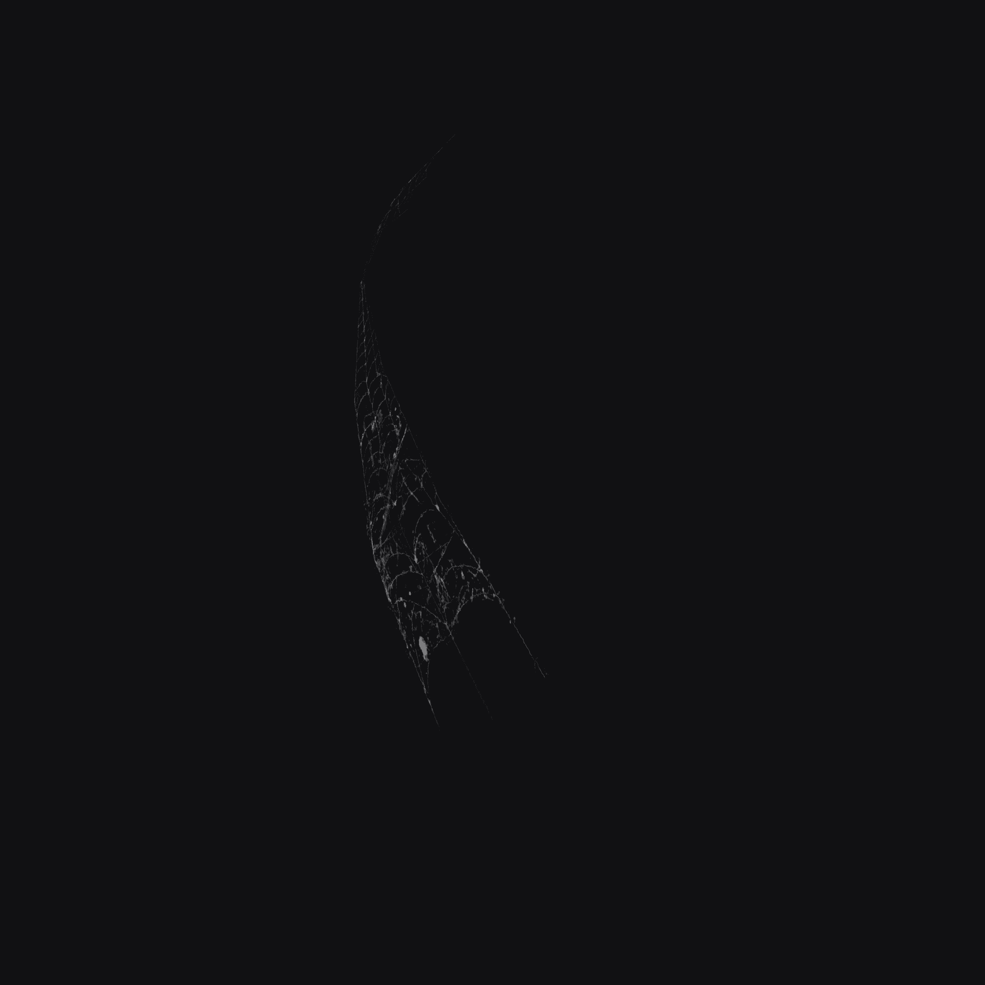 Cobwebs C 3D model