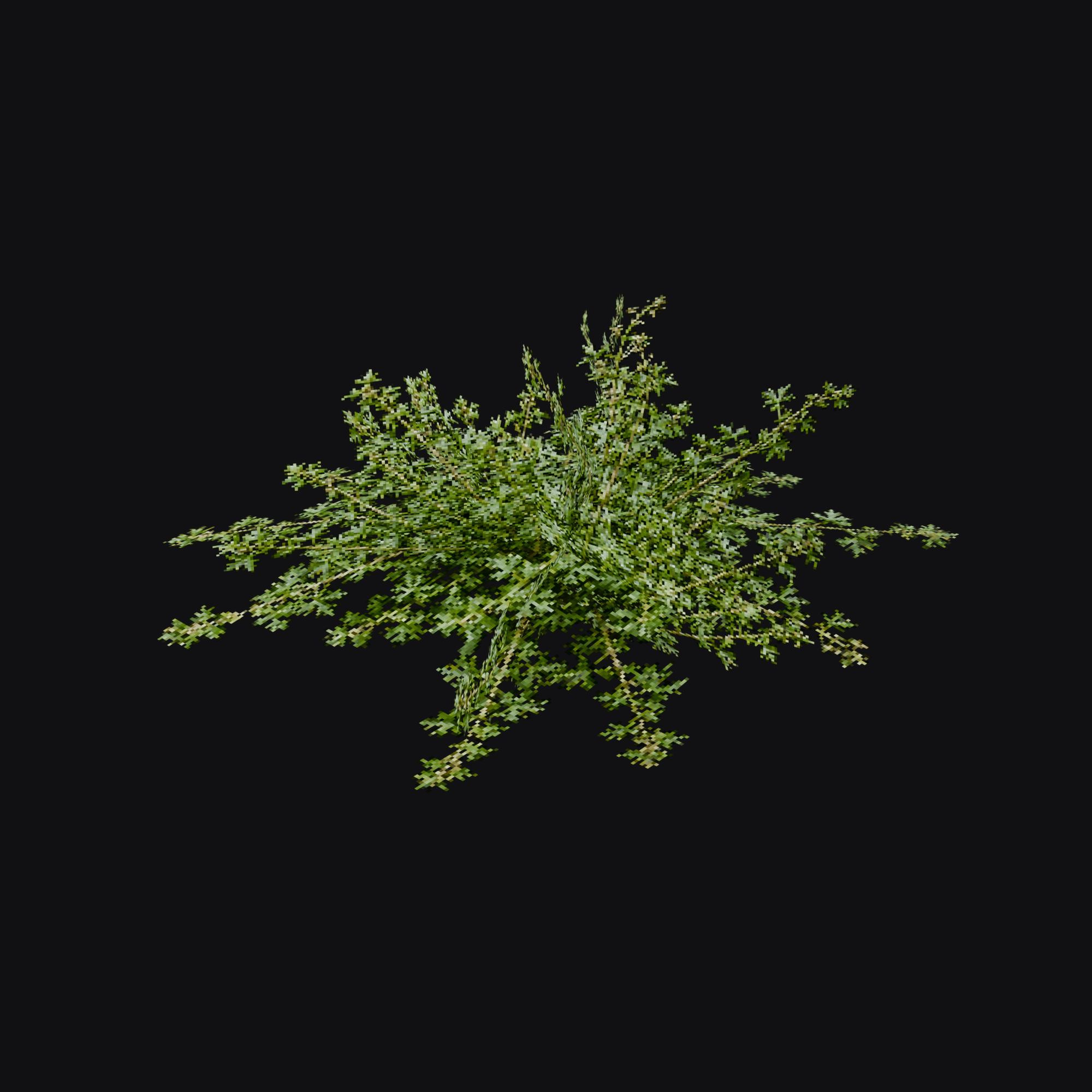 Cranesbill 01 (Geranium sp.), free Blender 3D model render