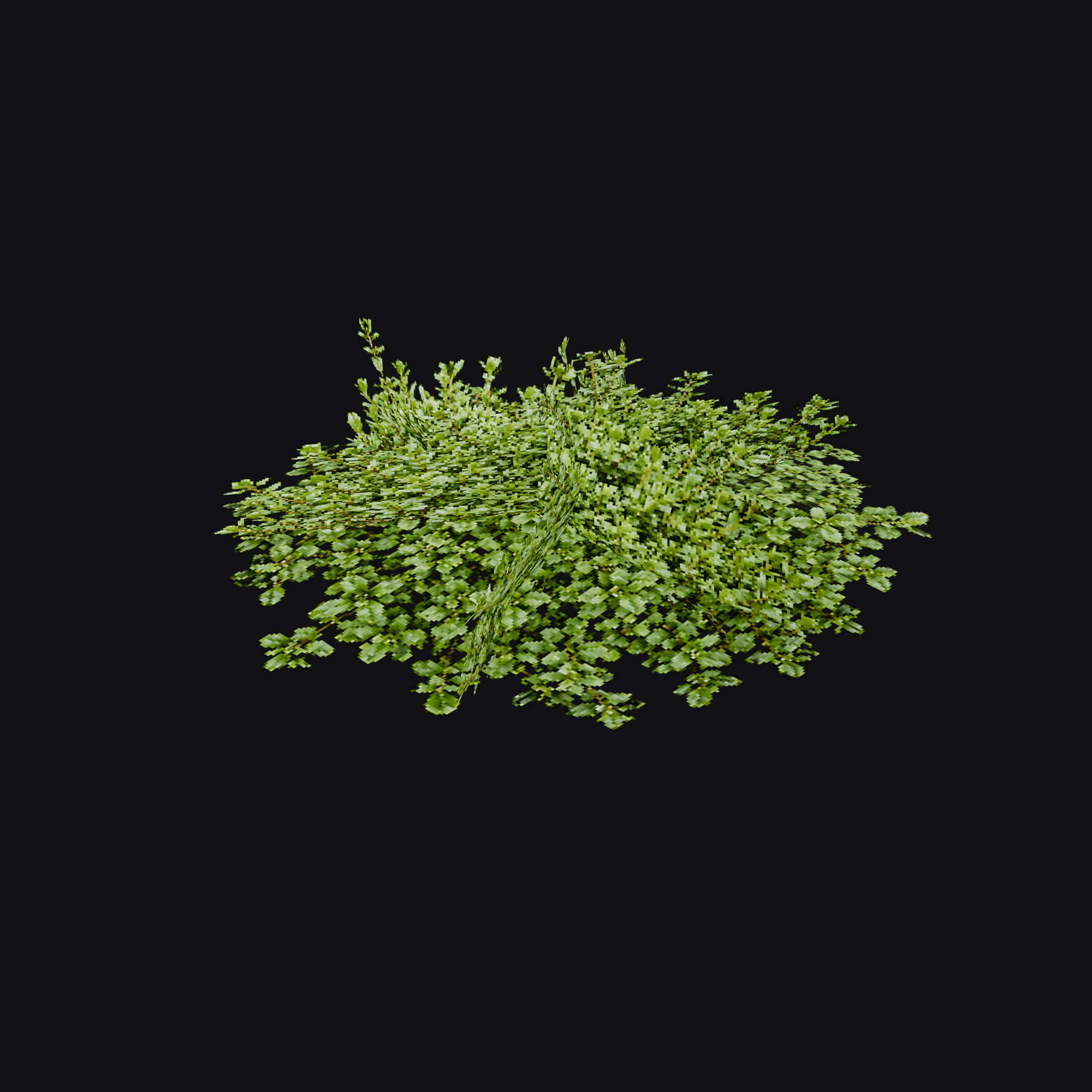 Creeping Thyme 01 (Thymus sp.), free Blender 3D model render