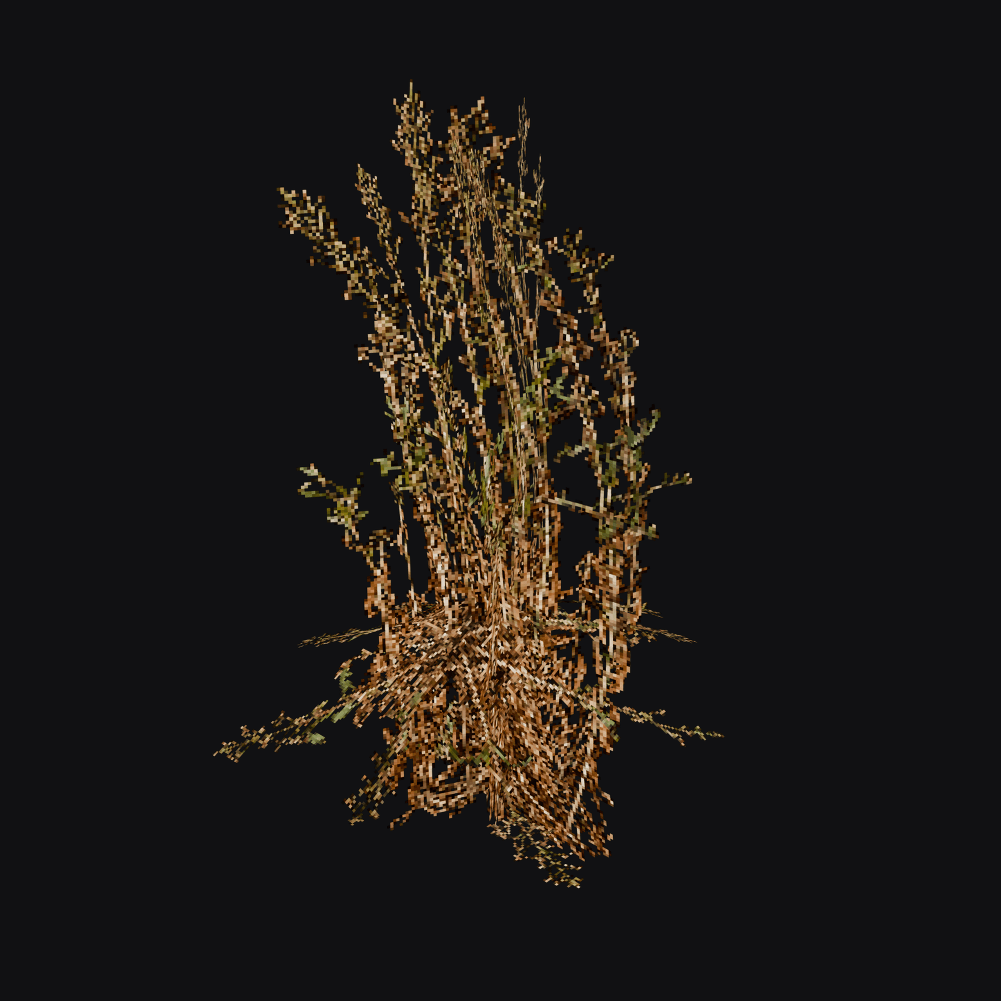 Dock Stalks 01 (Rumex sp.), free Blender 3D model render