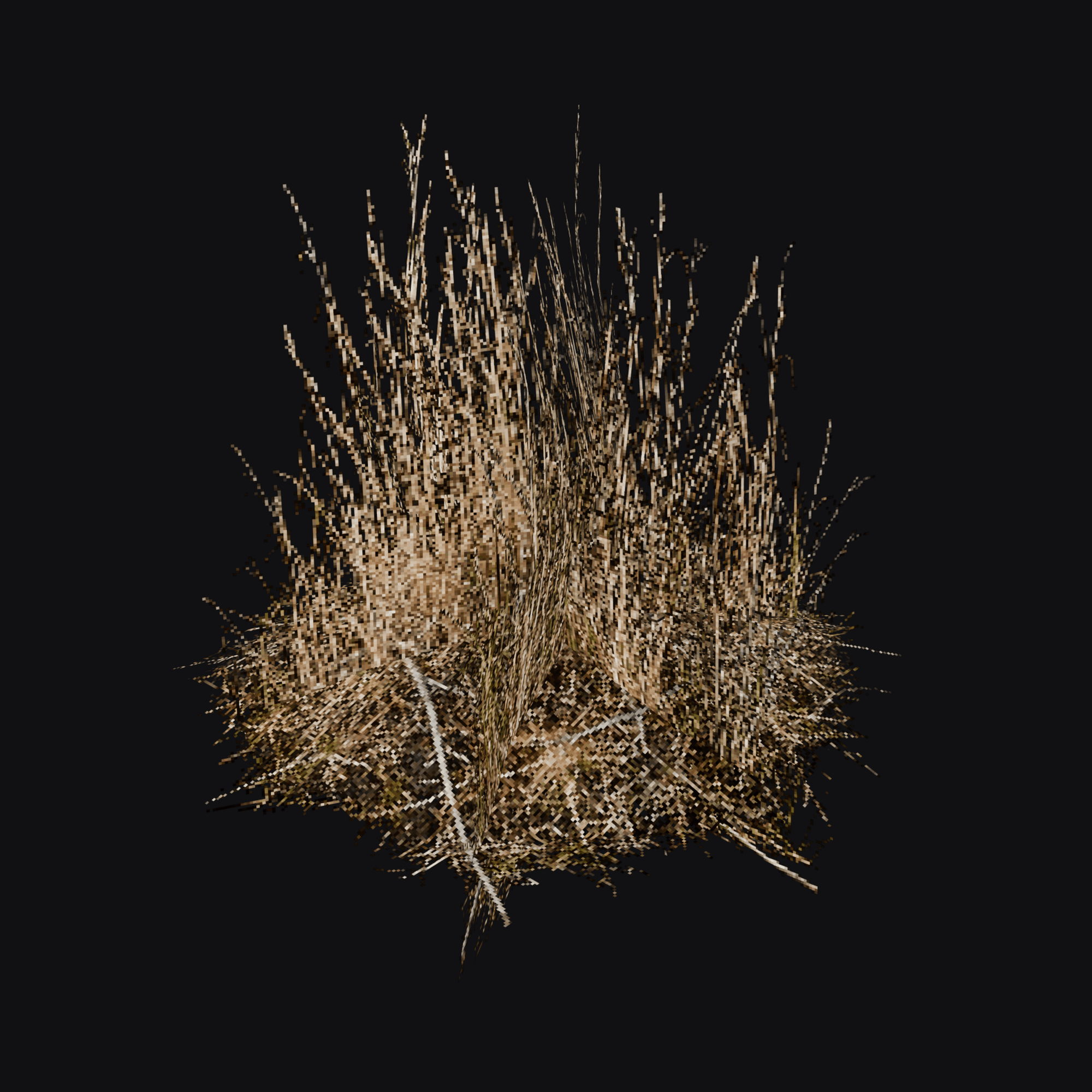 Dry Brome Grass 01 (Bromus sp.), free Blender 3D model render