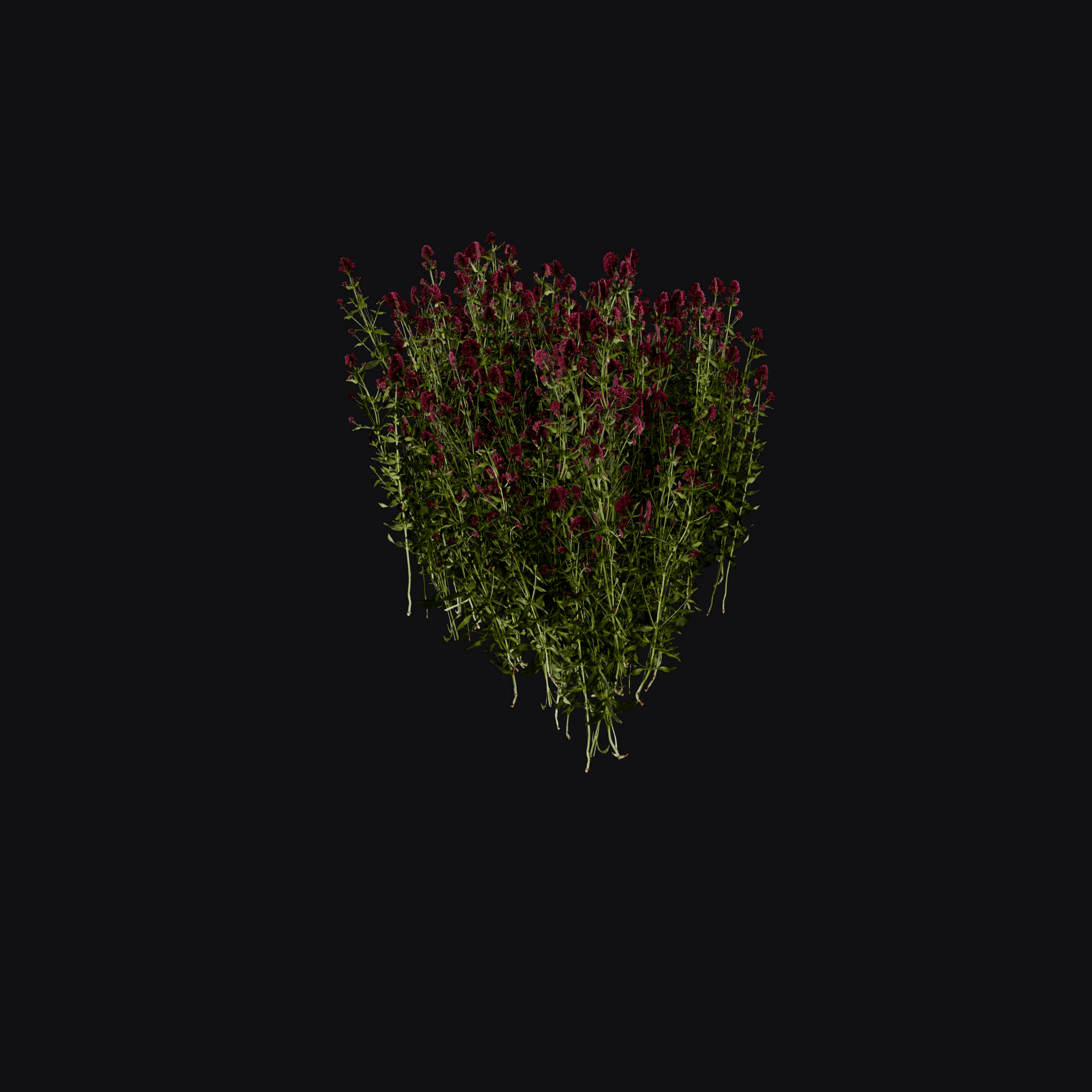 Flower Bush 3D model