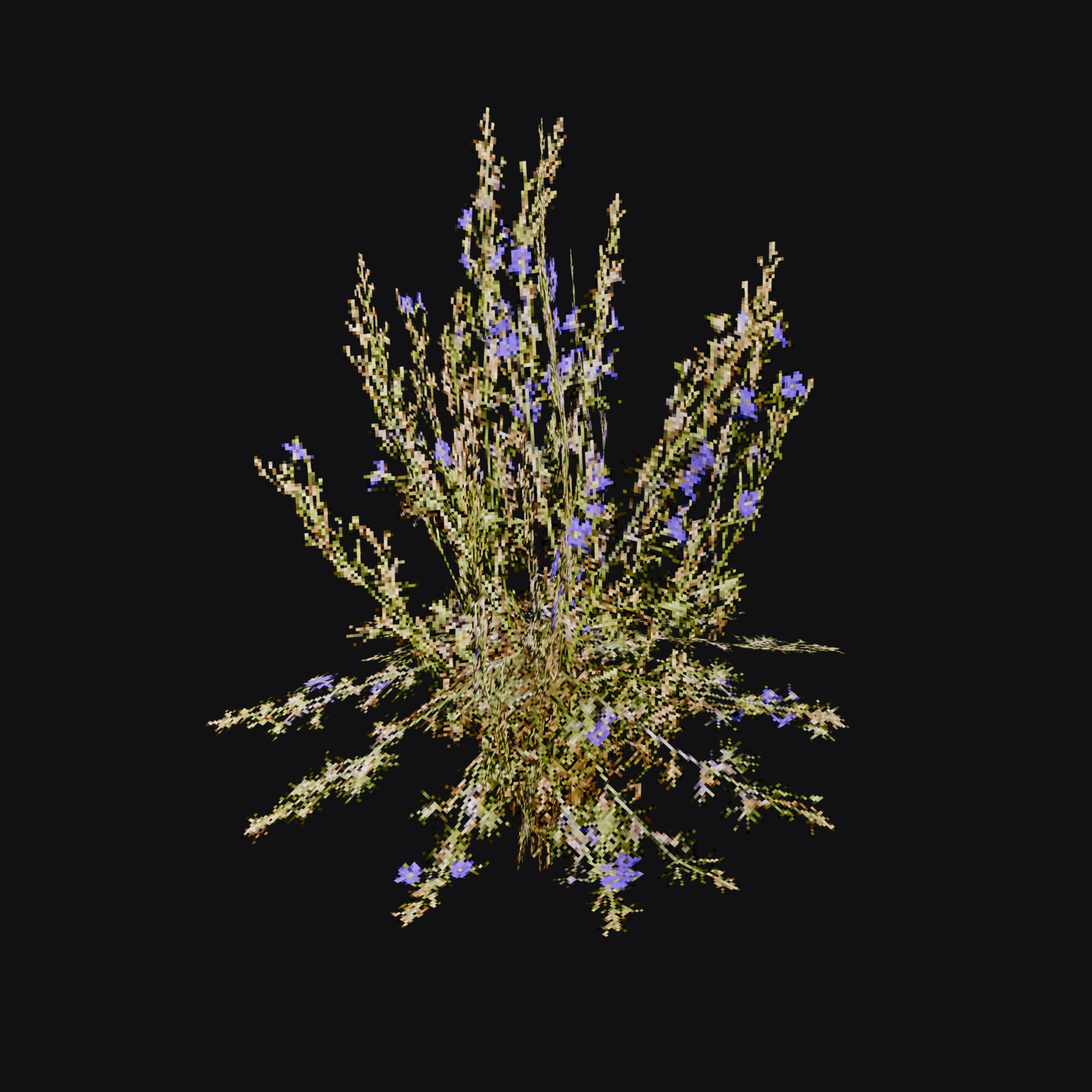 Larkspur 01 (Delphinium sp.), free Blender 3D model render