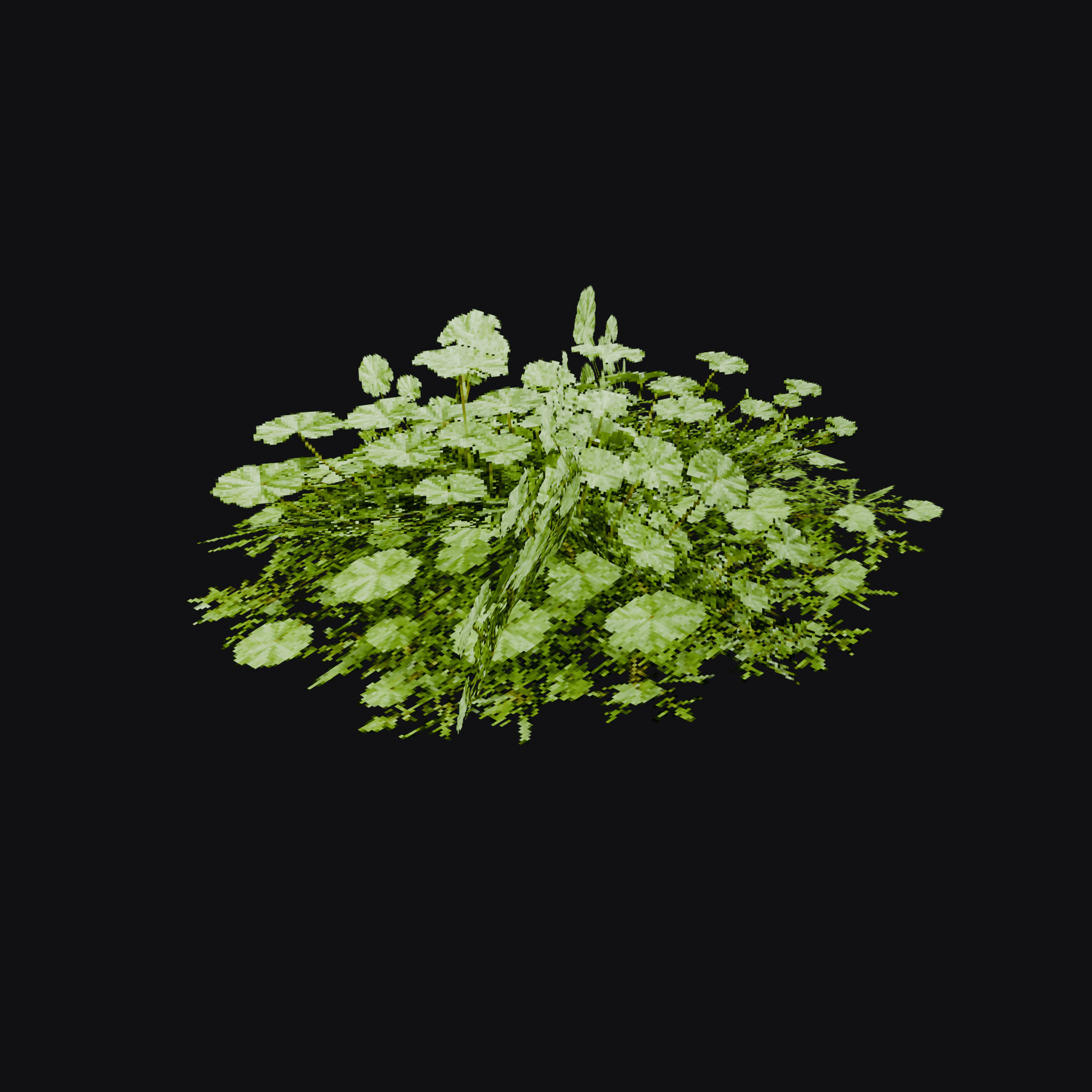 Mallow 01 (Malva sp.), free Blender 3D model render