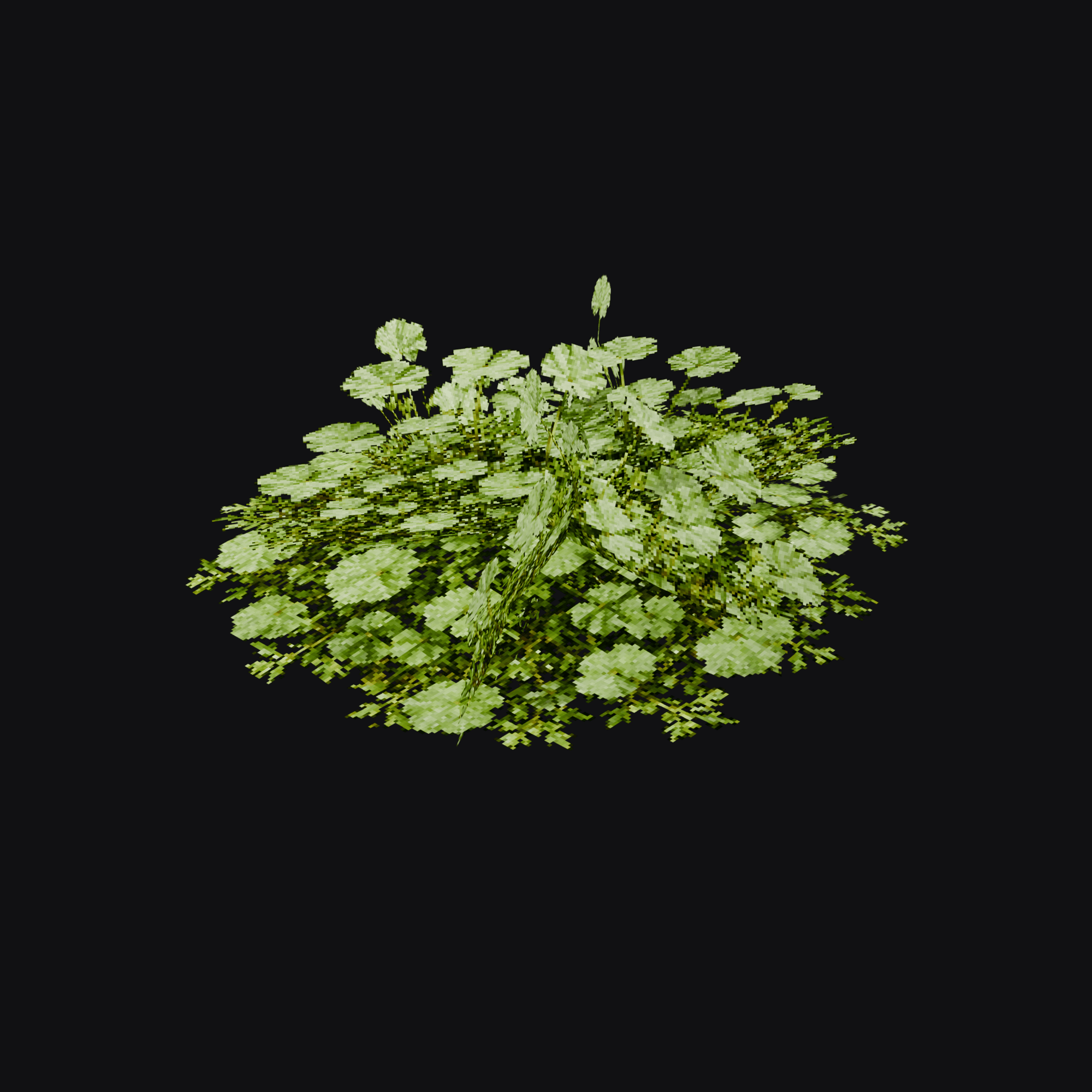 Pennywort 01, free Blender 3D model render