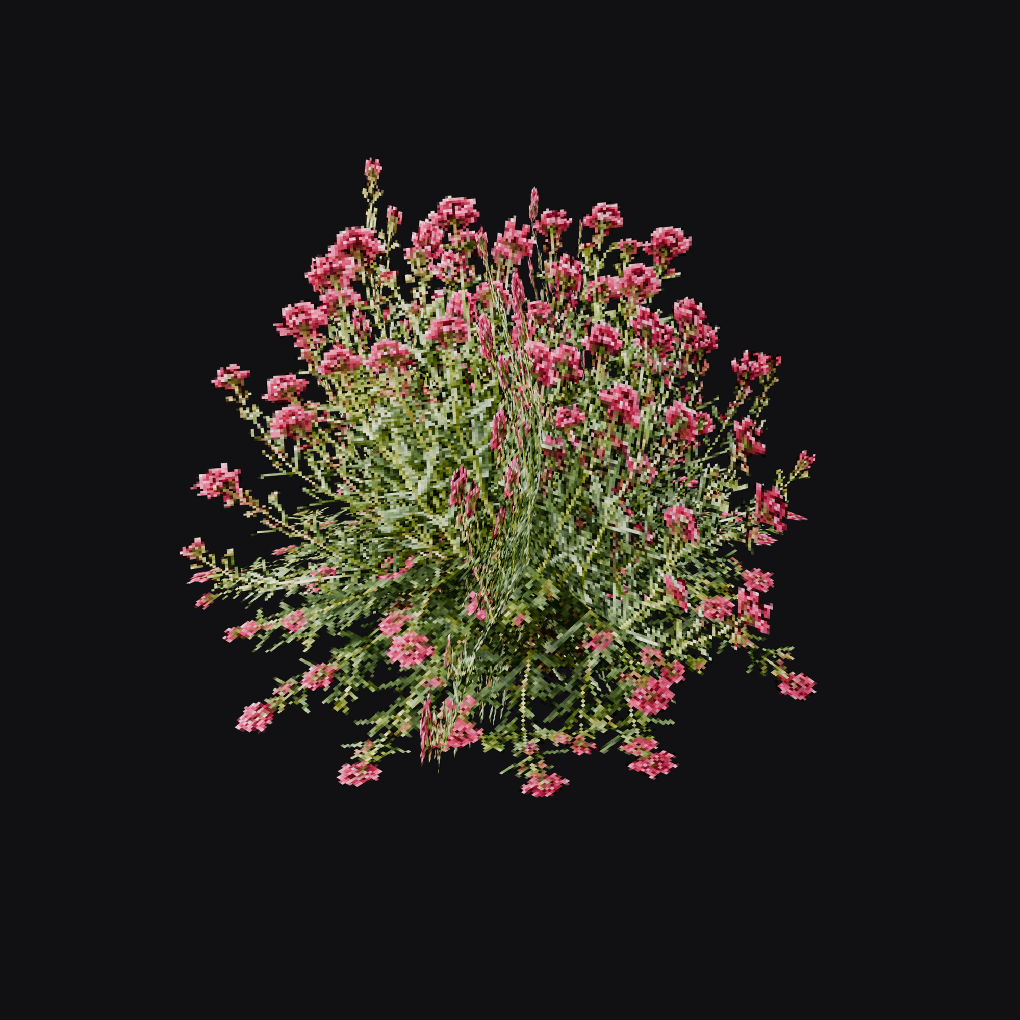 Red Valerian 01 (Centranthus ruber), free Blender 3D model render