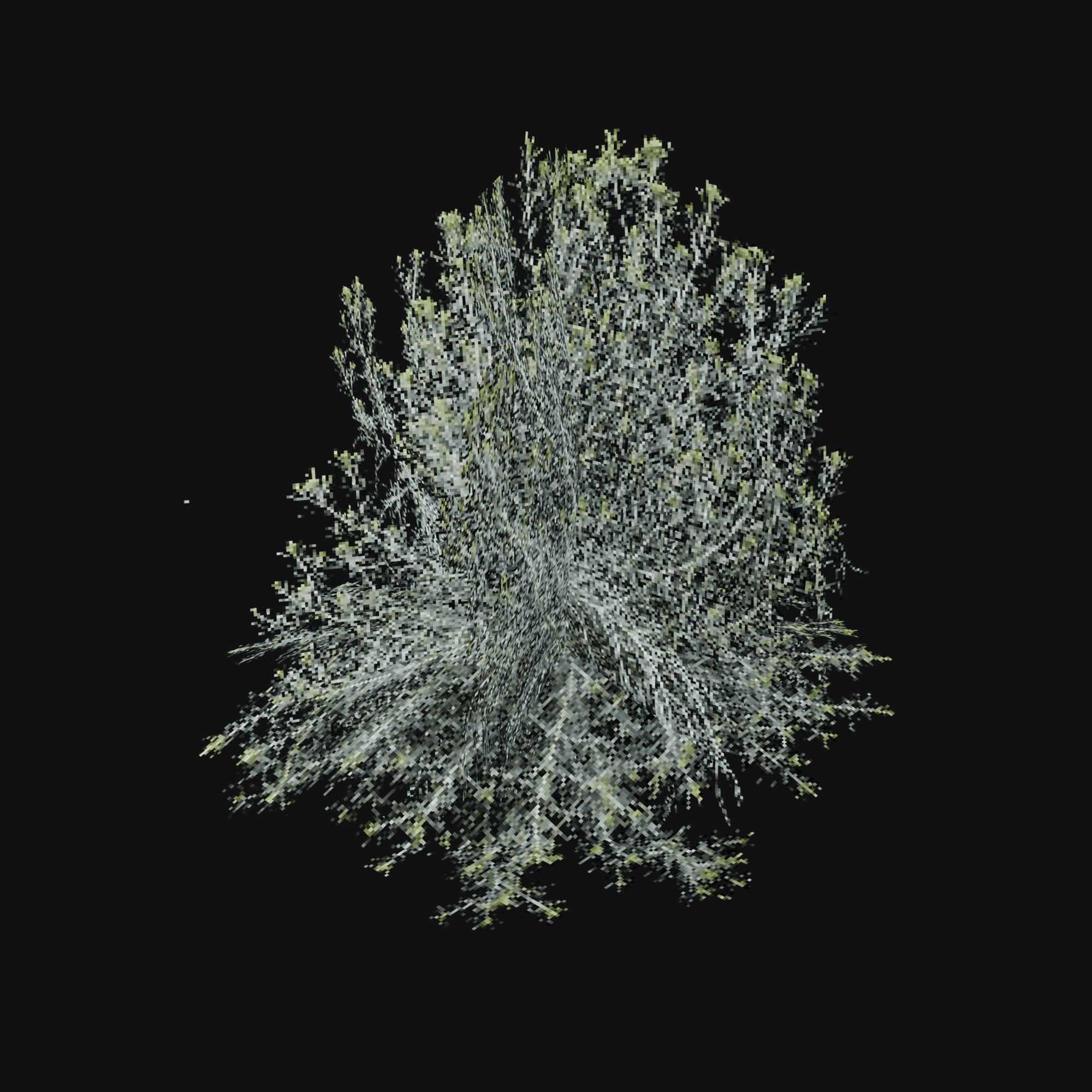 Sagebrush Shrub 01 (Artemisia sp.), free Blender 3D model render