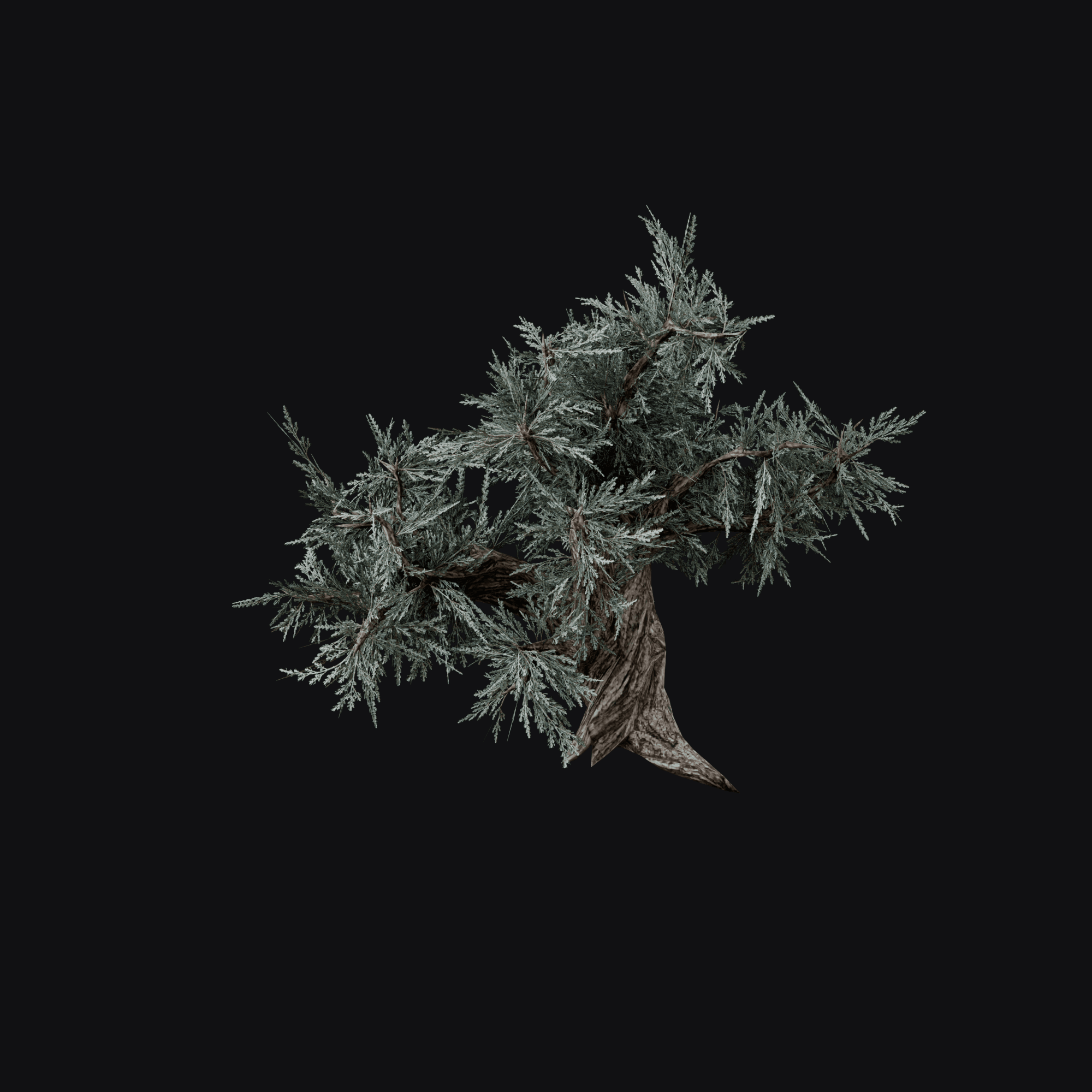 Sagebrush 3D model