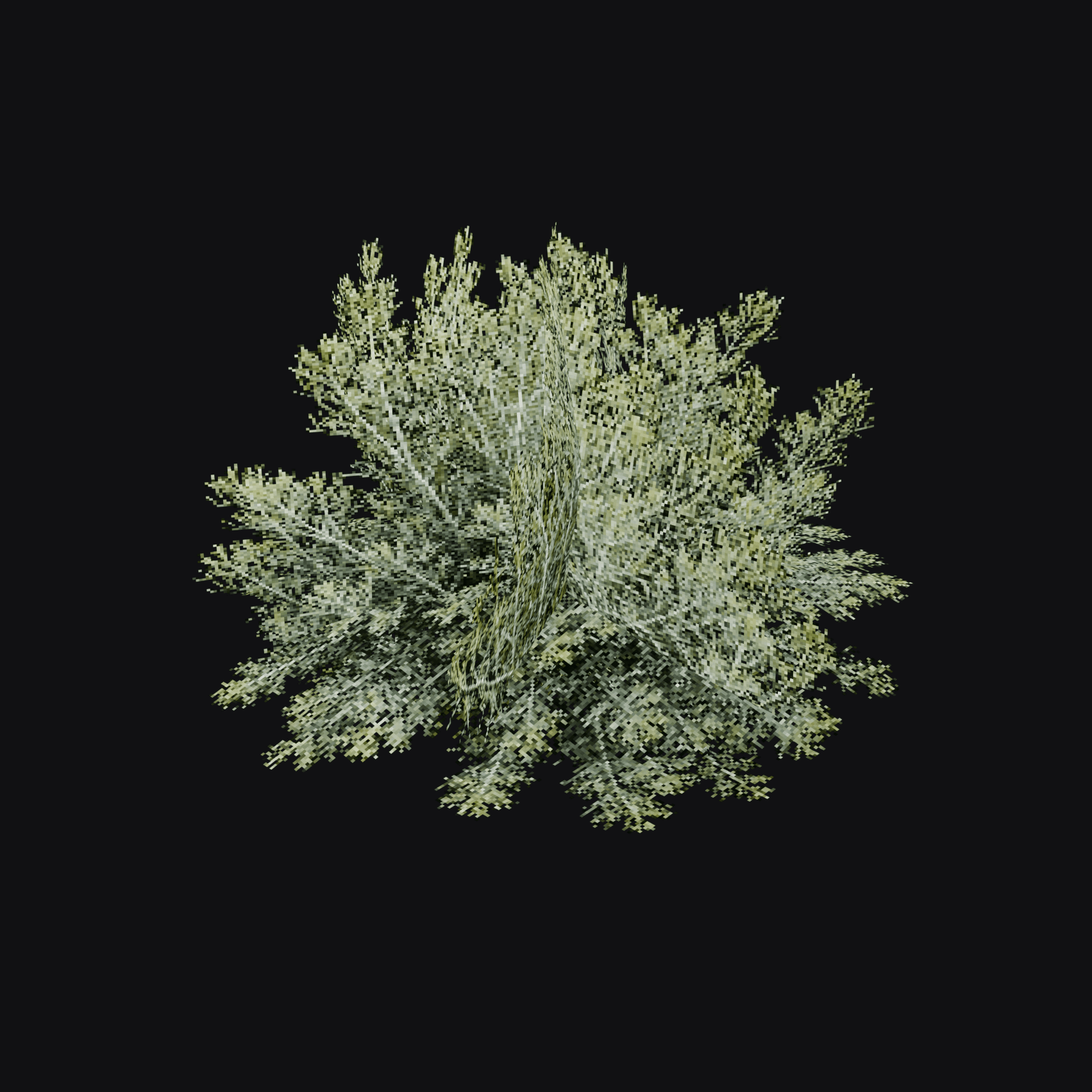 Wormwood 01 (Artemisia absinthium), free Blender 3D model render