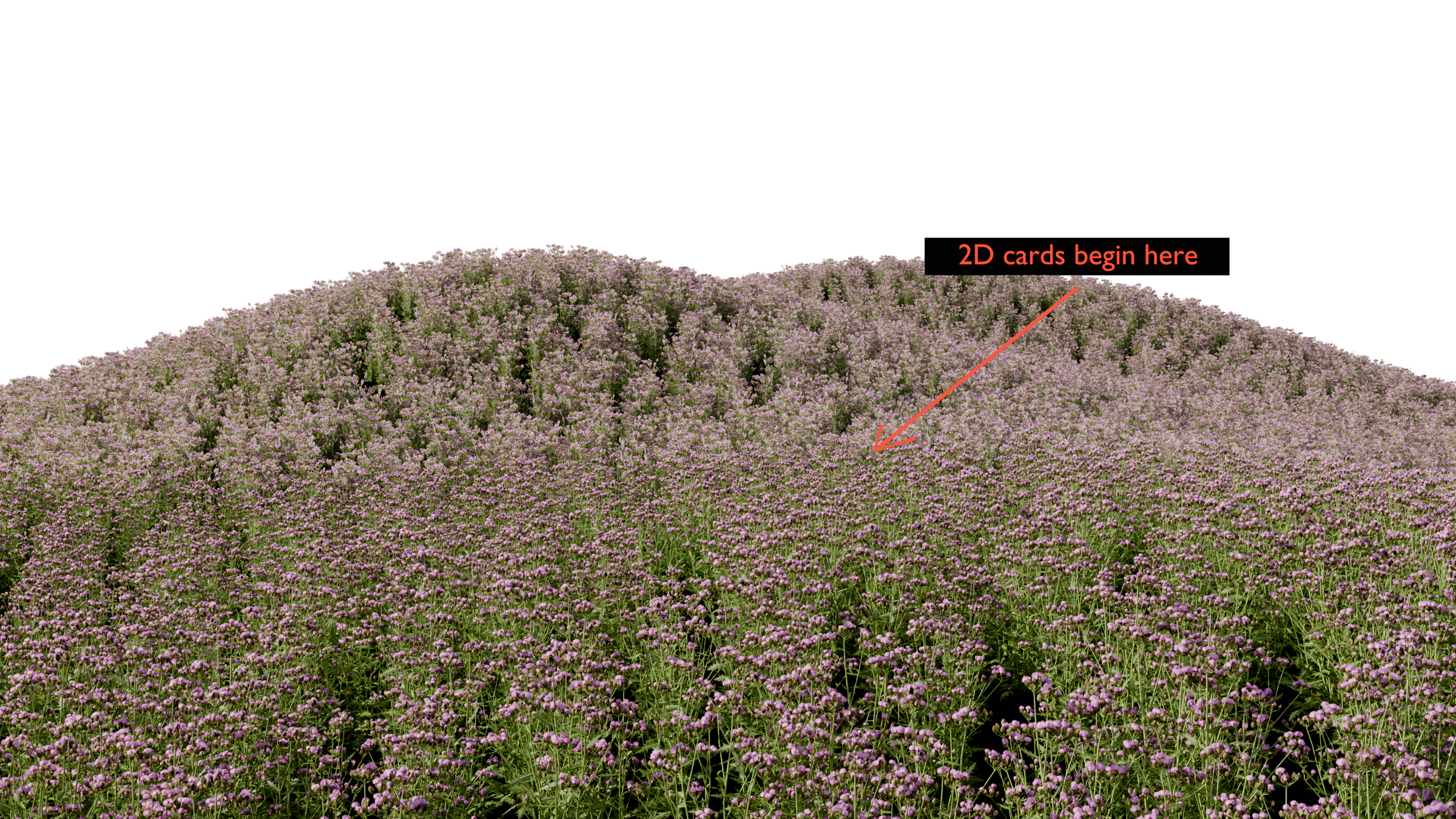I include both 3D plants and the lightweight 2D cards for performance in your game.