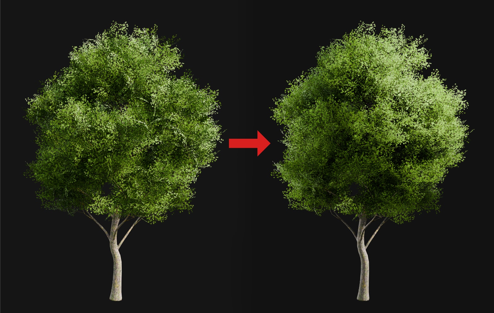 Softer Plant Cards in Blender course artwork